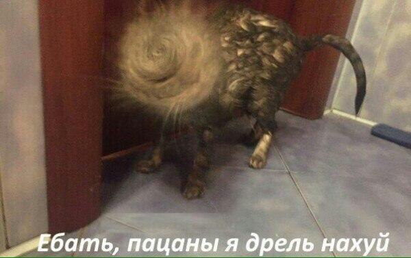 Абсурдная и циничная тупизна