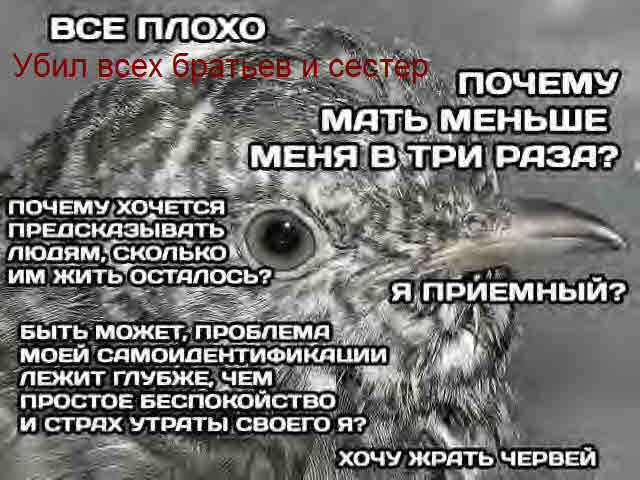 Деградат нация