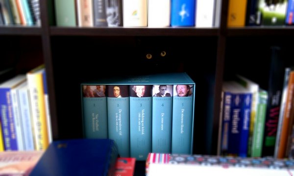 Коты и Кошки