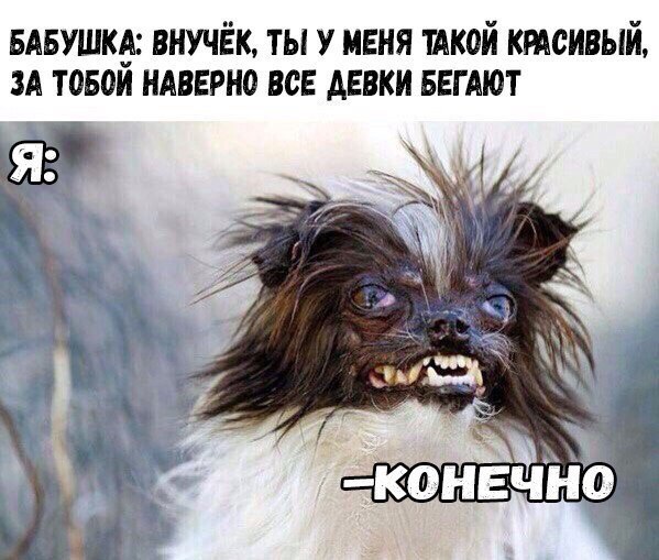 Немного деграданса - 4