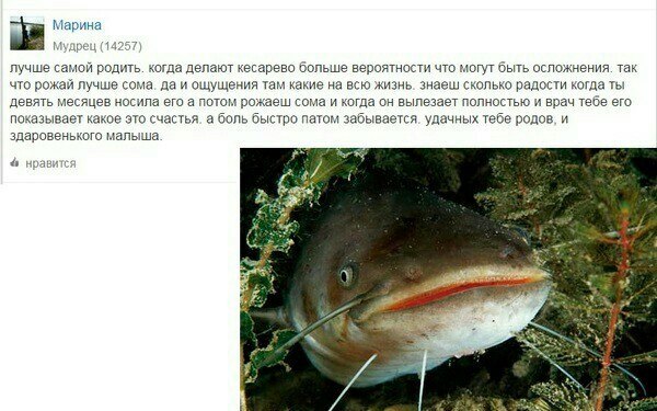 Совместные роды!?