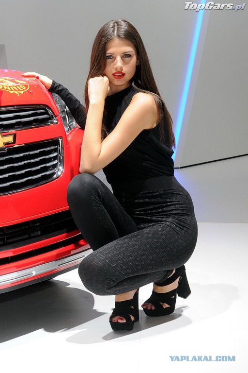 Девушки на автовыставках