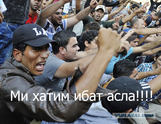 В Москве поднялась новая волна бунта мигрантов