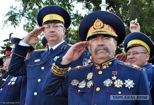 Что вы знаете о понтах?