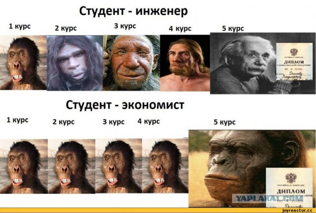 О технических специалистах