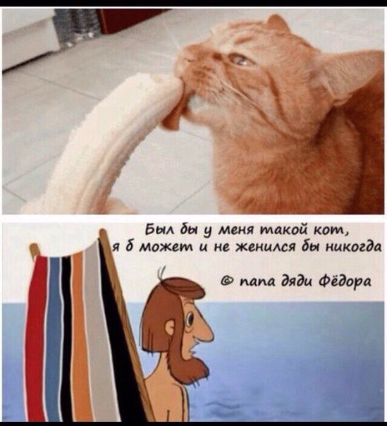 Ударная доза тупежа и деградации