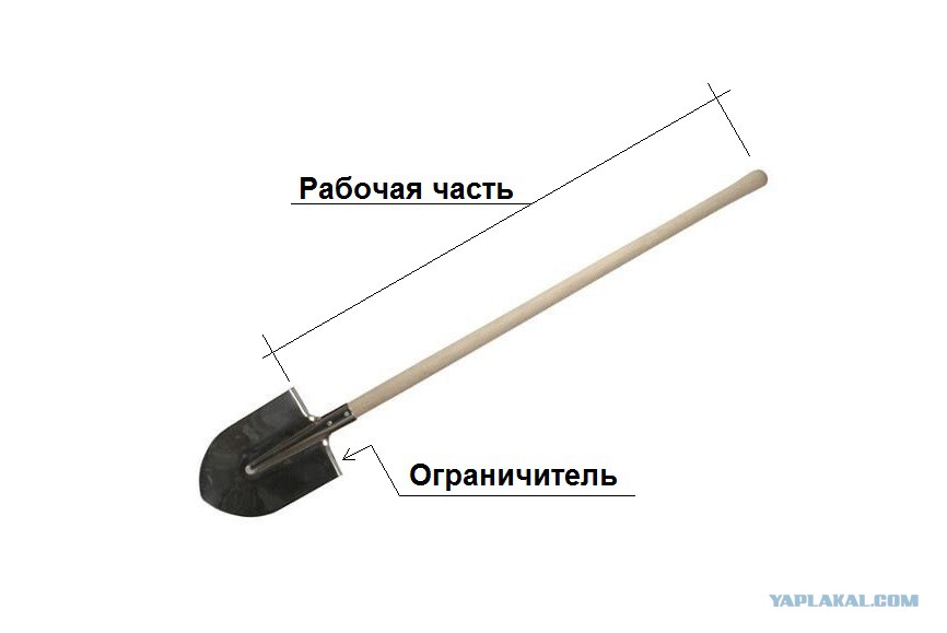 Фото мем строитель воткнул лопату в землю