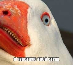 Какие законы напринимали для себя баборабы
