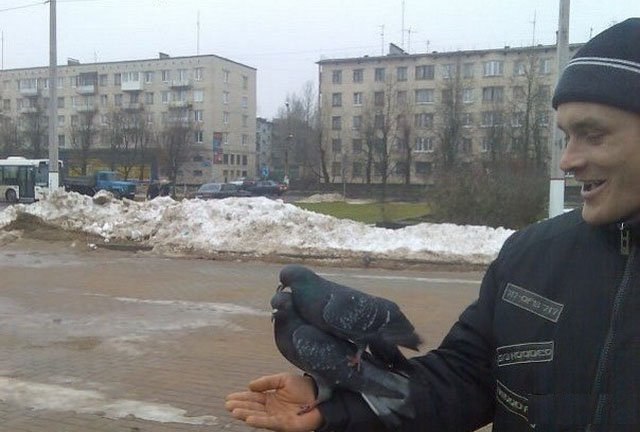 Живность из сети