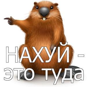 Путин поручил правительству рассмотреть вопрос о строительстве моста на Сахалин
