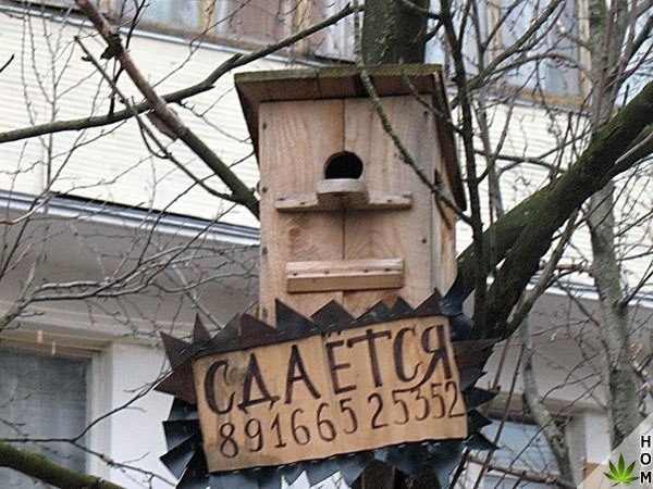 Прикольные надписи и объявления
