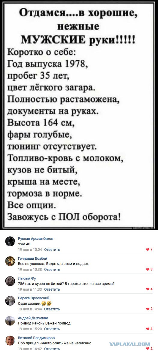 Смешные комментарии из социальных сетей 23.11.2018