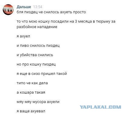 Бывают же сны у людей...