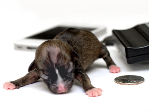 Чудо под названием жизнь!