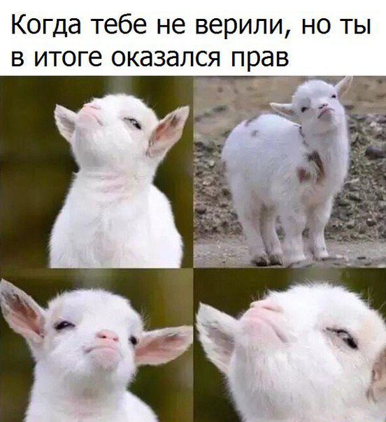 Соц-сети, анекдоты и картинки с надписями 12.03.19