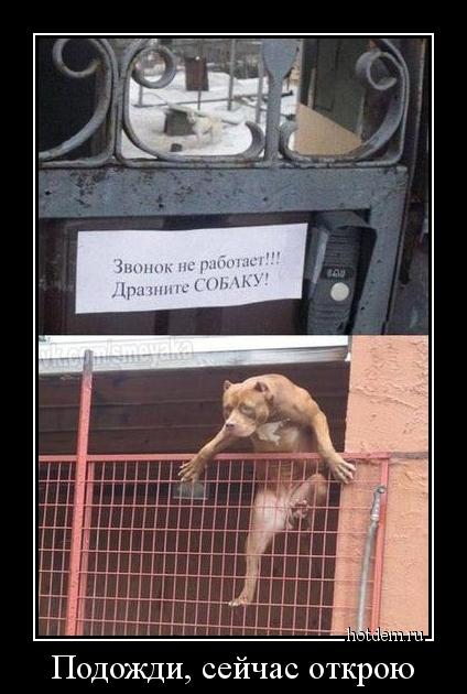 За этим забором я в безопасности
