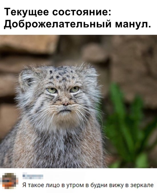 Прикольные картинки абавсём