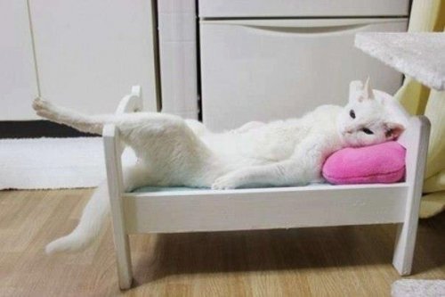Картинки для улыбнуться