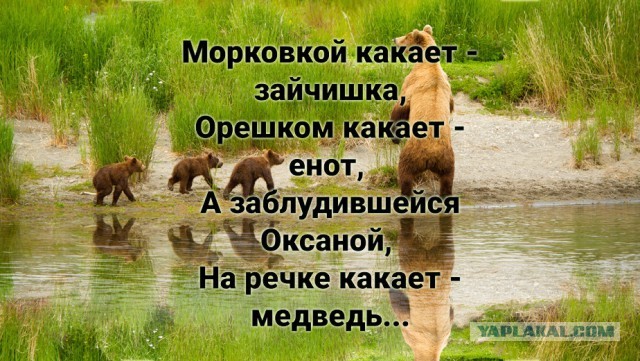 На заметку грибнику и туристу