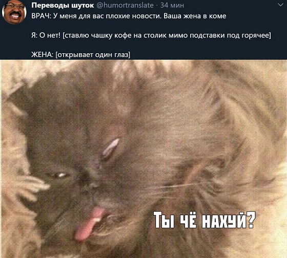 Картинки с претензией на юмор