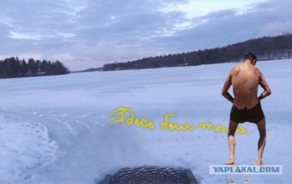 Голый морж
