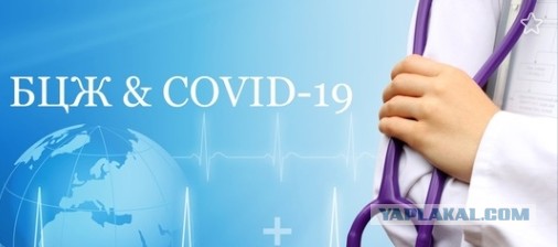 Дневник контактного по COVID-19
