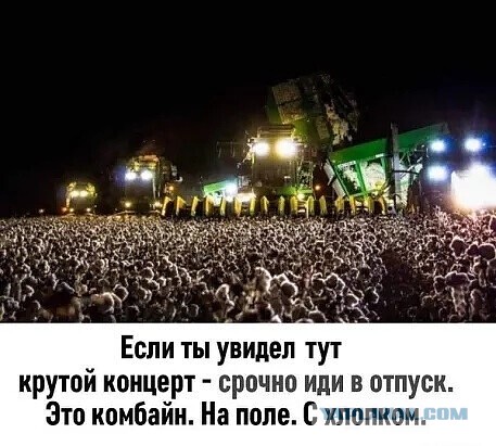 Немного картинок для настроения 119