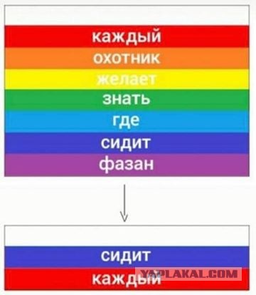 Кировский юрист усмотрел пропаганду ЛГБТ в эмблеме ЦИК