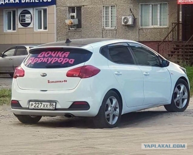 Прикольных фото пост
