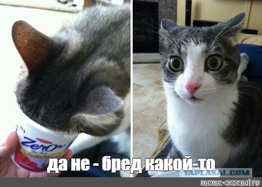 Друг! я принимаю твой вызов! Послушай мою новую песню! (Пашкетт)