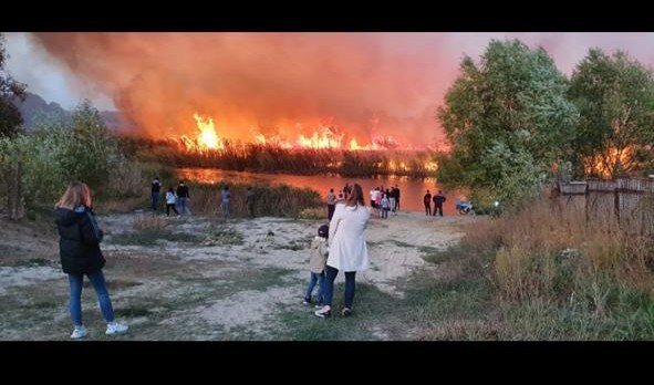 Воронеж, горит пригород