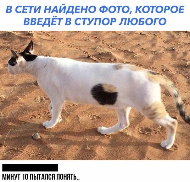 Картинки с надписями и всякие жизненные фразы