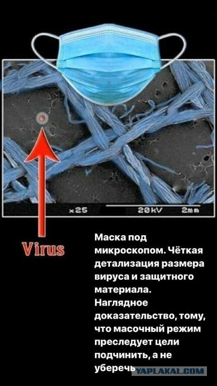 Готовая жалоба от юриста за неношение маски