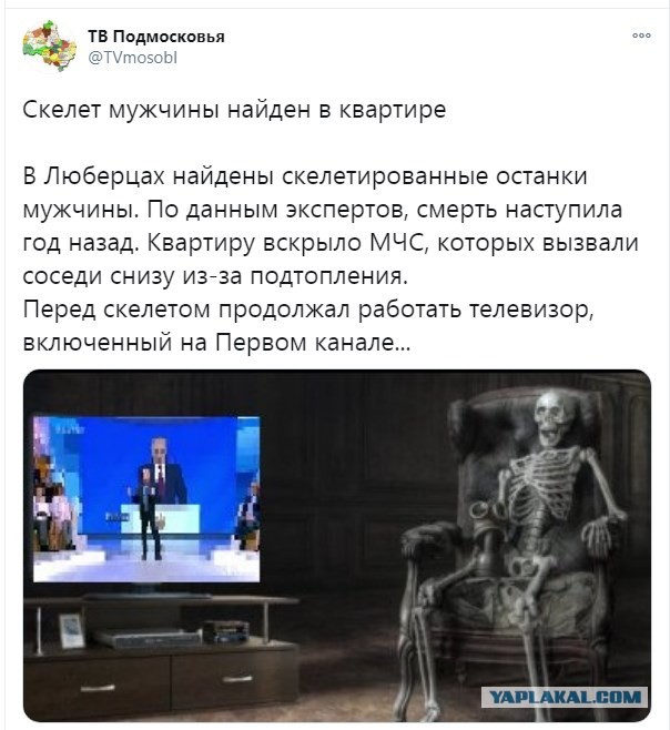 Год прошел,скелет нашли