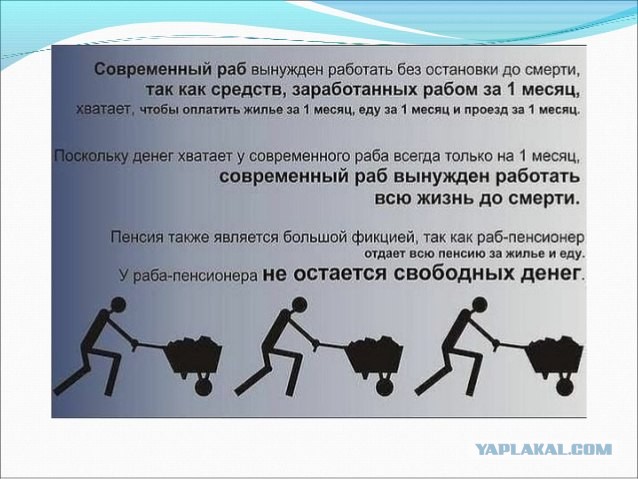 А сколько тебе заплатило государство за сидение дома?