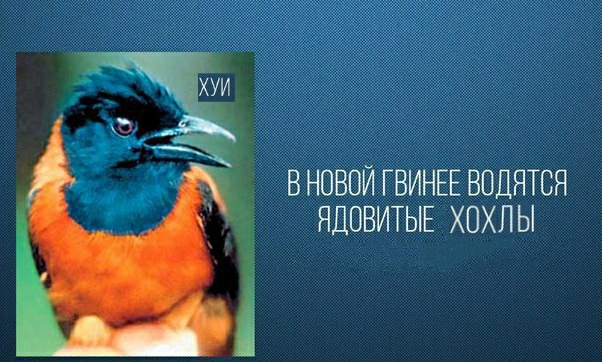 Немного картинок с надписями и без 18.12.2020