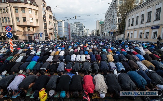 Полиция извинилась перед женщиной, которую силовик ударил ногой в живот на несогласованной акции протеста в Санкт-Петербурге