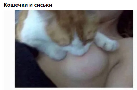 Фото-винегрет-3. Картинки ниапчём и обо всём