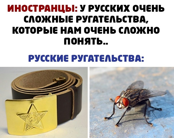 Кретинизмы из сети Night Edition 8.02.21