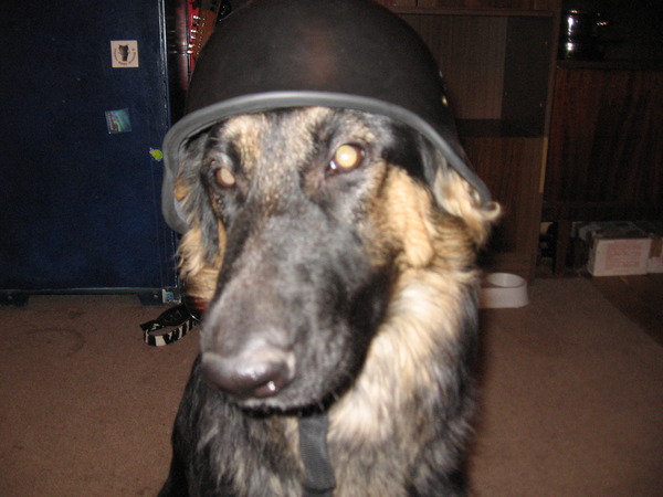 А вот не надо срать на детских площадках.