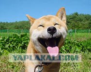 Танцующий за спинами людей