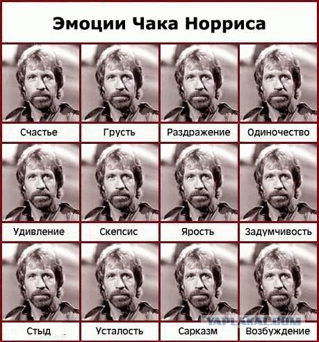 Ребусы