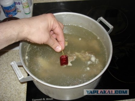 Шурпа