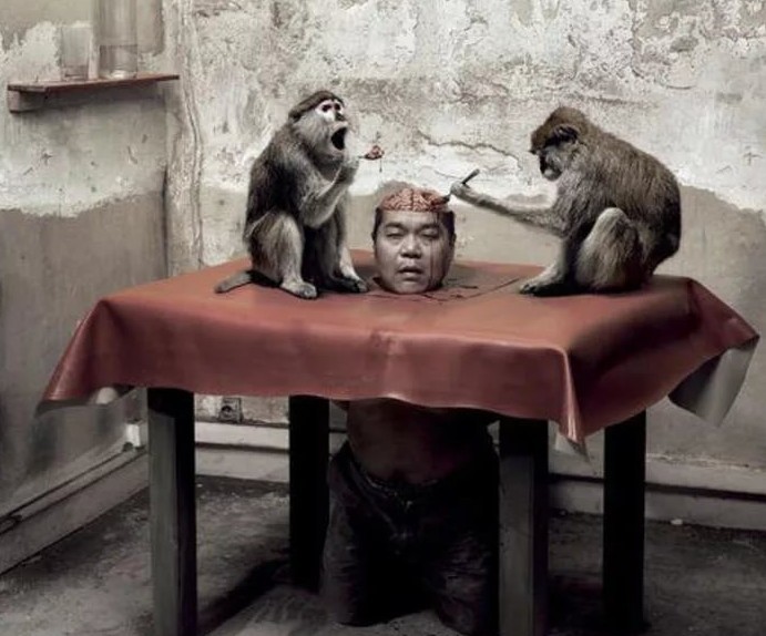 Мозг живой обезьяны. Обезьяна за столом. Деликатес мозг живой обезьяны.