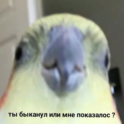 Невозвращенцы - как эмигрировали из СССР?