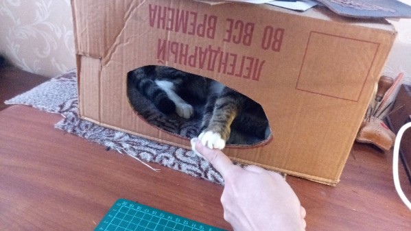 Кошкин дом