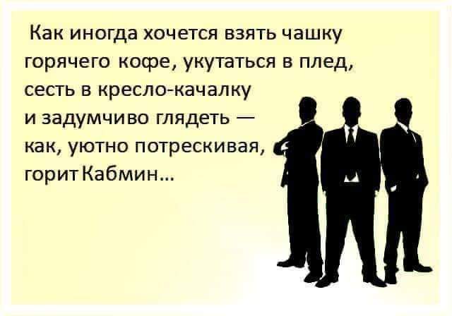 Всяческие картинки 27.12.2021