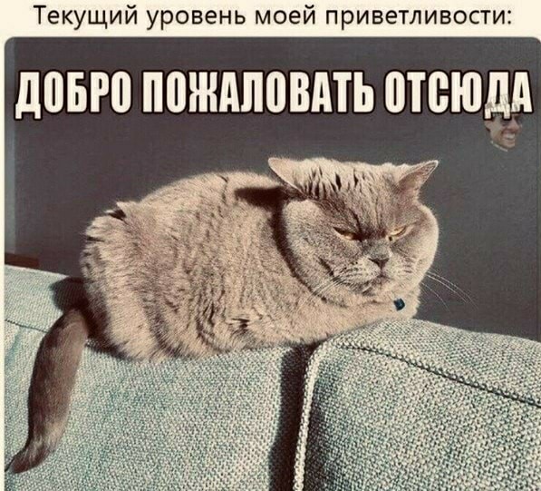 Разные картинки для настроения на любой вкус - 4