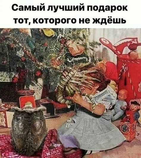 Разные картинки для настроения на любой вкус - 9