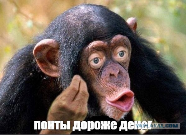 Вы могли подумать, что это Индия, но нет — это час пик на Выхино